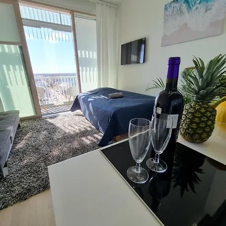 Apartment Penthouse In The Center