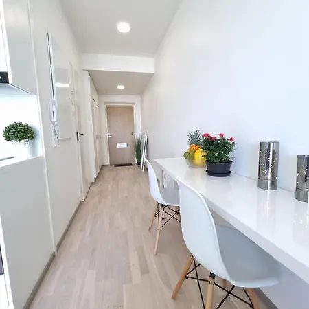 Apartment Penthouse In The Center *