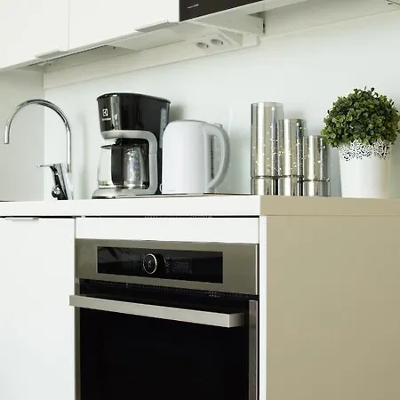 Penthouse In The Center