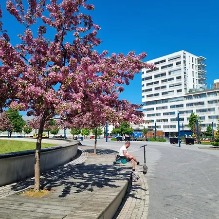 Penthouse In The Center Oulu