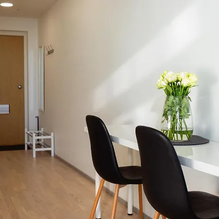 Penthouse In The Center Lejlighed Oulu