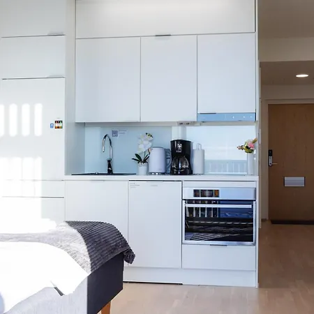 Lejlighed Penthouse In The Center Oulu