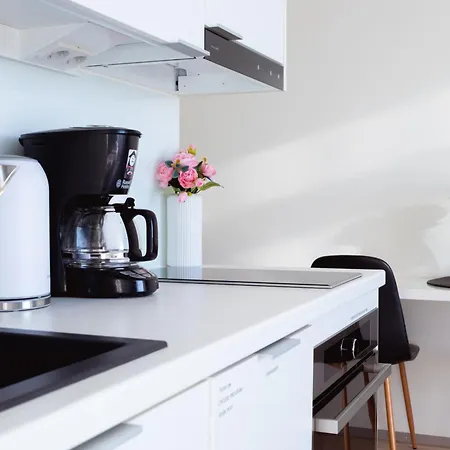 Penthouse In The Center Lejlighed