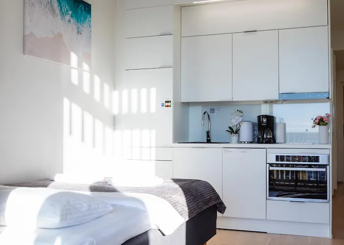 Apartment Penthouse In The Center