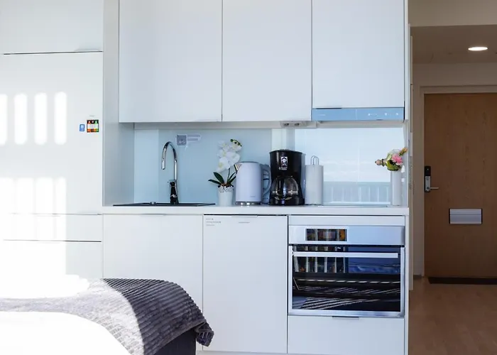 Apartment Penthouse In The Center Oulu