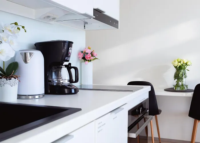 Penthouse In The Center Apartment